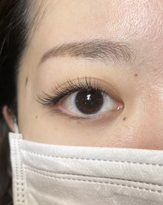 Sable Lashes Experience (100 strands)